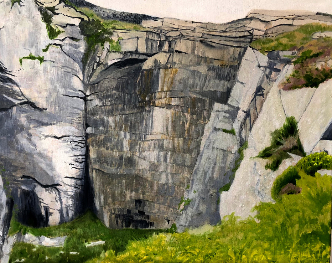 Lundy Cliffs