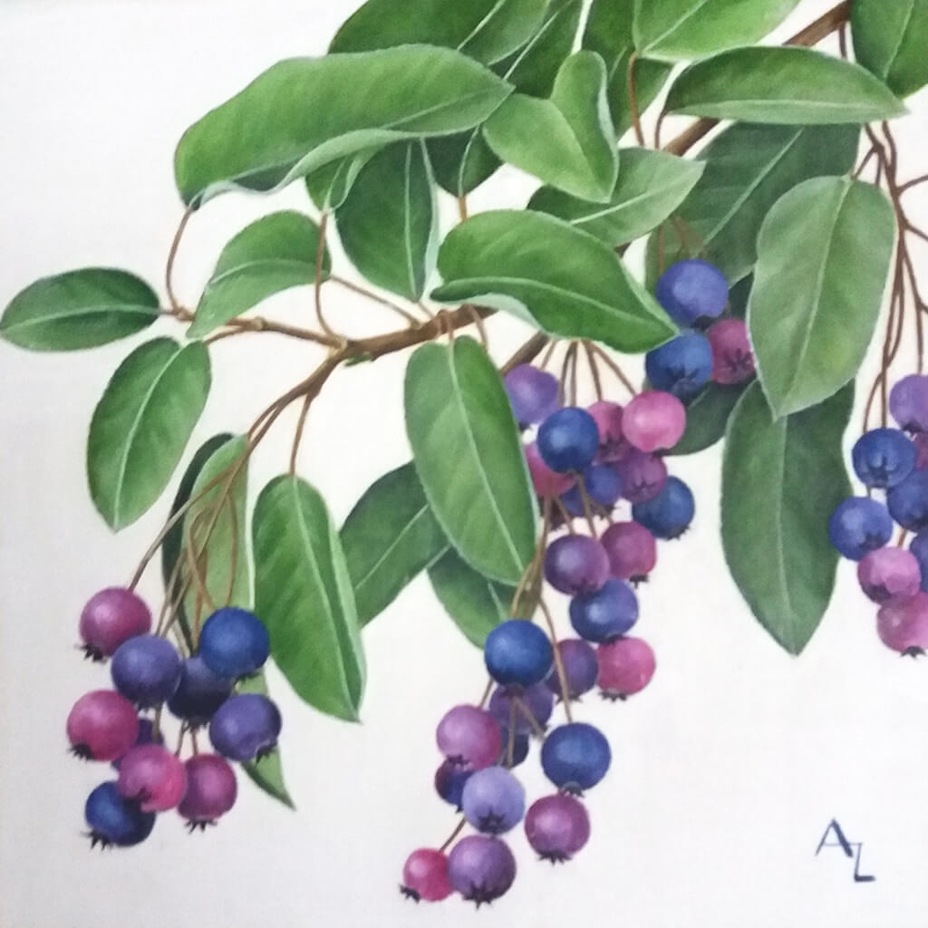 June Berries